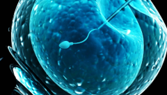 贵州贵阳三代试管助孕费用明细大公开：价格清单清晰可见，预算更省