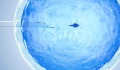 马来西亚做三代试管助孕生孩子花费明细2026，最新价格及避坑注意事项