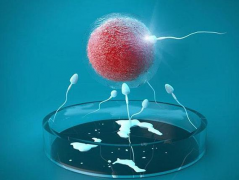 吉尔吉斯斯坦第三代试管婴儿费用大约需要多少？附试管具体费用明细