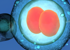 沈阳单身女性在沈阳市妇婴医院做试管婴儿成功率有多高？