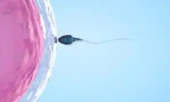 2026年郑州988医院未婚单身试管助孕价格表一览