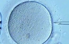 天津三代试管婴儿费用大概要多少？全面了解试管婴儿花费明细+预算安