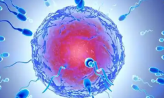 厦门大学附属第一医院未婚女性试管婴儿成功率怎么样？