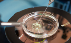 六盘水市妇幼保健院试管攻略：无结婚证可行吗？费用与成功率一览