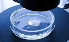 遵义市第三代试管助孕生小孩需要多少费用？中介要价只要8万可信吗？