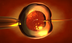 2026年长沙市三代试管婴儿助孕费用大概多少？各项具体费用明细有哪些