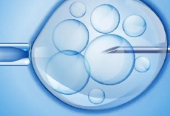 在海口找试管婴儿私立医院包成功服务是真的吗？还是骗钱套路？