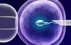 2026年吉林省妇幼保健院单身做试管可以吗？费用价目表发布