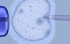 南宁试管婴儿私立医院推荐榜单_南宁市优质私立试管机构汇总