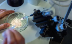 2026年单身女性在信阳市人民医院能做试管婴儿吗？