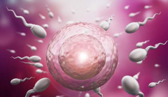 甘肃兰州较大助孕机构排名前十推荐，注意识别正规防止被骗