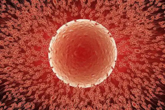 沈阳市第三代试管婴儿各项目收费明细，一次看清