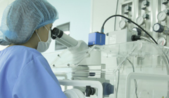 辽宁省沈阳市私立医院试管包成功靠谱不？揭秘行业内不为人知的秘密