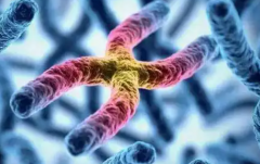 北京空军医院单身人士做试管成功率怎么样？