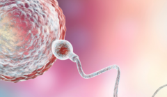 丽水三代试管助孕费用清单，各项收费及最终总价