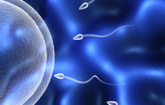 海口试管助孕包成功生孩子的私立医院可信吗？