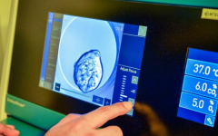 海南省正规的助孕公司排名前十(附费用一览表)