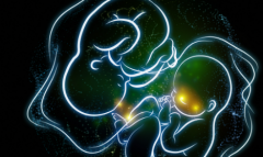 湖南省三代试管婴儿助孕费用明细出炉，生孩子真实花费