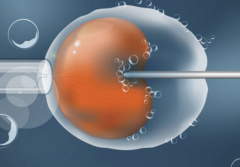 2026年成都市做三代试管能包成功吗？真实流程与必须注意的事项