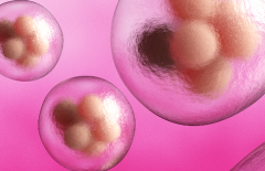 警惕虚假宣传，2026格鲁吉亚三代试管婴儿包成功？附真实流程