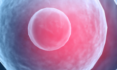 四川成都试管包成功服务可信吗？业内人士透露关键细节