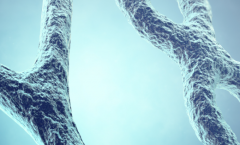 2026年格鲁吉亚做第三代试管助孕多少钱？2026年试管费用明细表来了