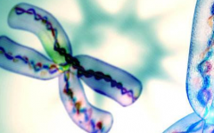 长沙做三代试管婴儿要多少钱，能通过哪些方式省费用