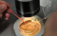 全国做第三代试管婴儿一般需要多少费用？2026年试管助孕价格明细