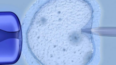 深度解读沈阳试管私立医院包成功套餐:是保障还是营销话术?