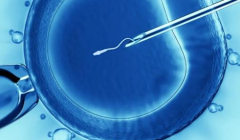 江西省南昌市做三代试管花多少钱？费用明细和成功率全面讲解