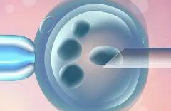 2026年上海三代试管助孕花费全知道：单周期费用8到15万元