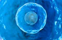 甘肃兰州三代试管助孕成功费用详情：2026年高成功率医院排名及收费情