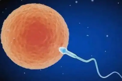 2026年云南省第一人民医院单身试管婴儿收费项目及价格一览表