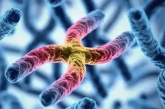 云南省滇南中心医院未婚试管成功率真实数据是多少