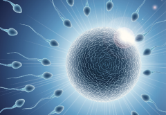 2026广东深圳三代试管婴儿助孕费用大概是多少，详细费用清单公布