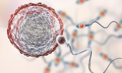 河北三代试管婴儿治疗，大概要花多少钱？全面费用说明