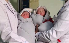 全国三代试管婴儿价格揭秘，真实费用明细公开