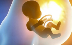 济南市三代试管成功率高的医院做助孕生宝宝多少钱？