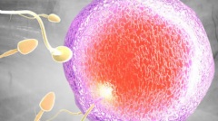 湖南做三代试管生育费用大概多少？详细费用清单