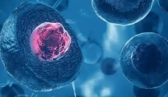 海口三代试管助孕费用明细，价格透明