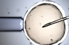 济南市做三代试管婴儿多少钱？2026年试管助孕真实花费