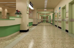 沈阳做试管助孕必看，沈阳市优质私立医院推荐及诊疗流程攻略