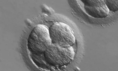 甘肃三代试管助孕价格大公开，附详细收费清单供你参考