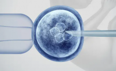 2026年承德市妇幼保健院单身女性做试管婴儿费用明细表一览