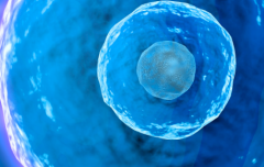 苏州大学附属第二医院试管助孕需结婚证吗？单身未婚人群申请条件详