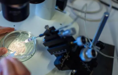 湖北武汉各代试管婴儿包干治疗总费用大概多少钱？