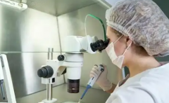 柬埔寨三代试管婴儿费用大概要多少？全面了解试管婴儿花费明细+预算