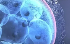 长春第三代试管助孕费用明细曝光，2026年全新收费标准