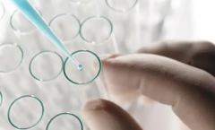 2026年未婚单身去宁波大学附属第一医院做试管费用多少？附详细费用明