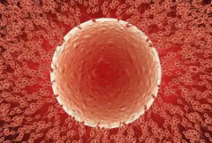 深圳三代试管婴儿价格多少？深圳市三代试管全流程花费公开